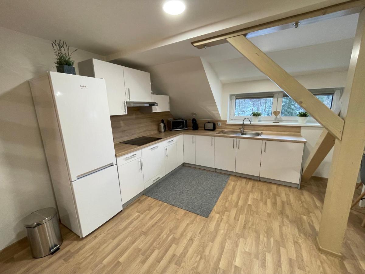 Apartmany Herc Jáchymov Extérieur photo