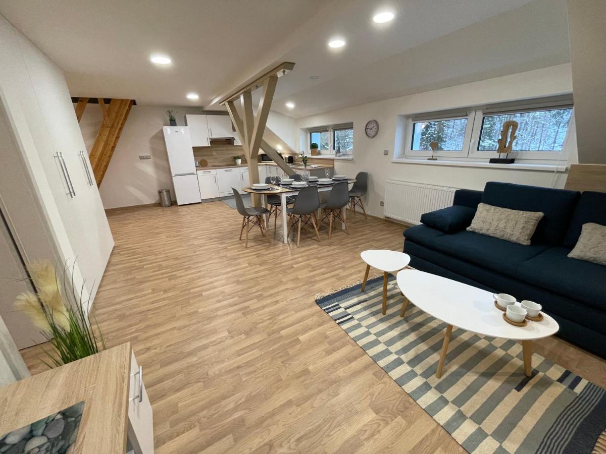 Apartmany Herc Jáchymov Extérieur photo