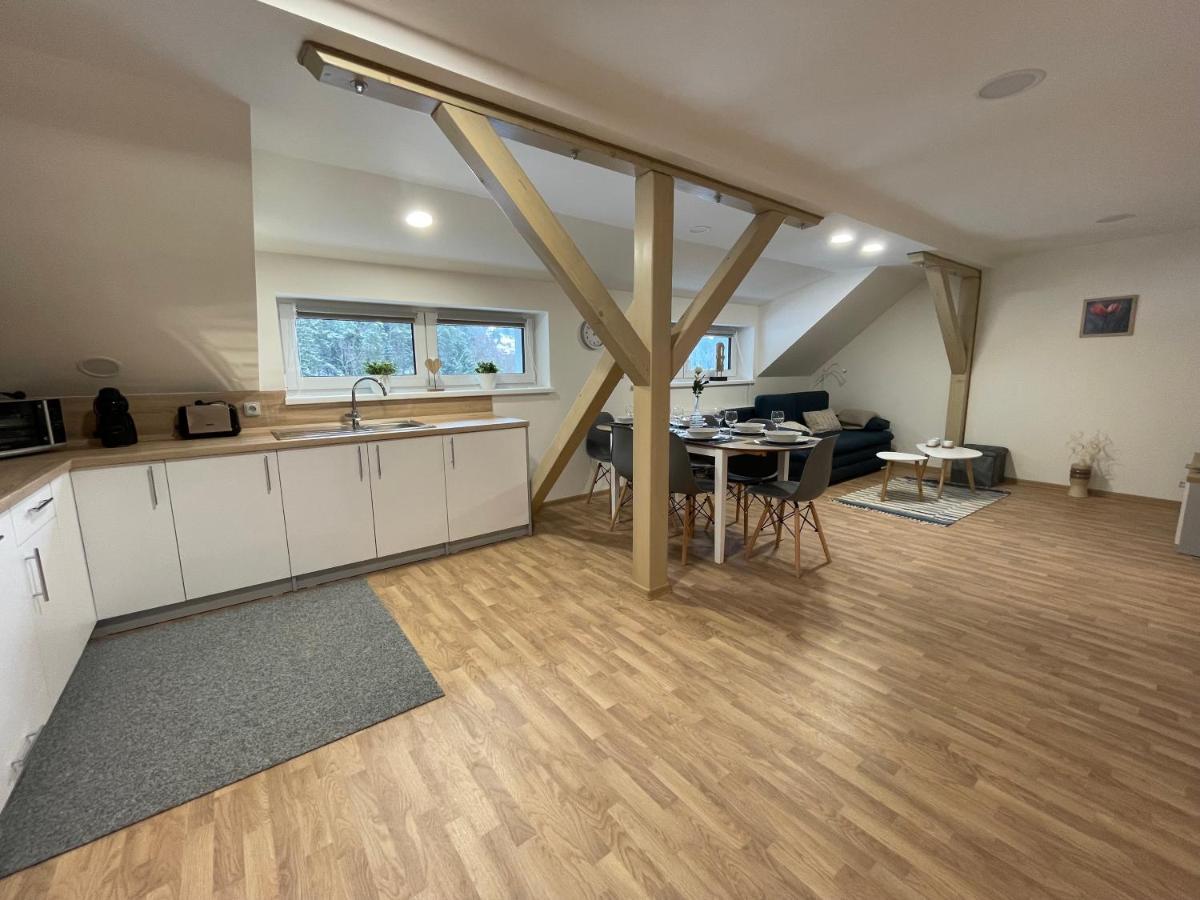 Apartmany Herc Jáchymov Extérieur photo
