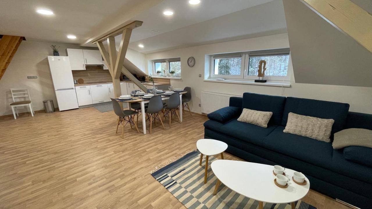 Apartmany Herc Jáchymov Extérieur photo